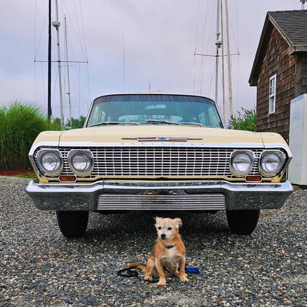 Vintage car and dog at the Westbrook dock